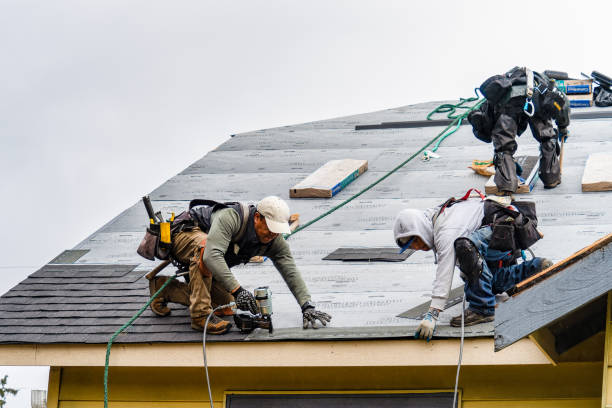 Professional Gutter Installation technician working in Allenhurst, GA